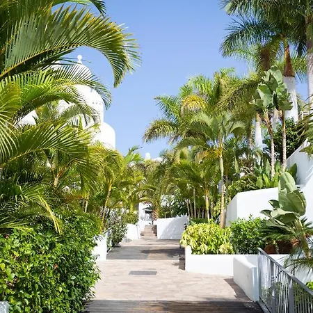 Cozy And Chic Ideal Ocean Views , Heated Pool, Sleep 4 アパート プラヤ・パライソ